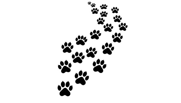 A winding path of simple black paw prints on a white background