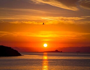 A vibrant golden sunrise over a calm ocean. Silhouettes of landmasses and a seabird punctuate the radiant sky, creating a peaceful scene