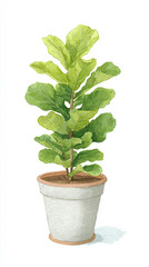 Obraz premium Embrace Nature at Home with a Beautiful Fiddle Leaf Fig Plant in a Simple Pot for Lively Indoor Decor and Fresh Atmosphere
