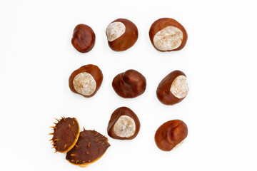 8 chestnuts and a thorny peel on a white background