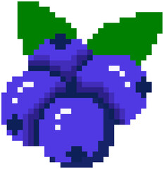 Obraz premium Blueberry