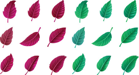 collection of leaves