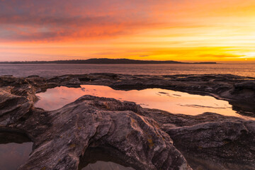 Yena Botany Bay rich red sunrise