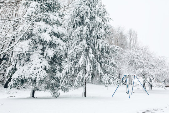 Snow covered trees and a child swing in a park