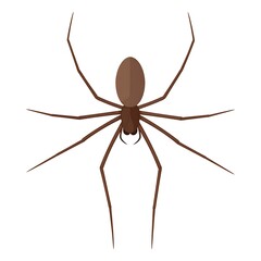 A simple, geometric illustration of a brown spider on a white background