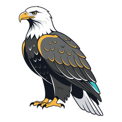 Majestic bald eagle illustration detailed vector design of a proud bird of prey isolated on white background