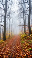 Obraz premium Enchanting autumn pathway in misty forest capturing nature's transition