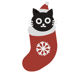 Cat in Christmas sock