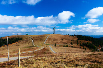Blick Zum Feldbergturm Schwarzwald