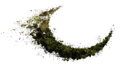 A botanical crescent, lush foliage and delicate details against a deep black backdrop