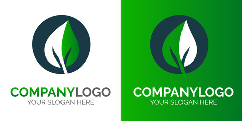 abstract eco leaf logo vector graphic design element
