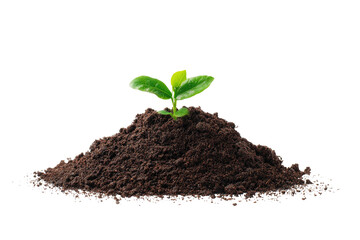 Fototapeta premium Small green plant sprouting from a pile of dark soil against a stark black background