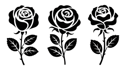 Elegant rose outlines for sophisticated designs and projects