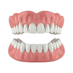 Fototapeta premium Dentures with pink gums isolated on a transparent background