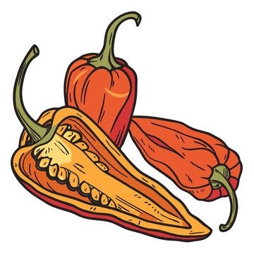 datil pepper on white background 