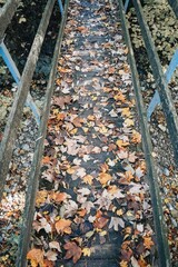 Bridge in autumn