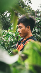 Naklejka premium Vietnamese ethnic farmers working on coffee plantation in Central Highlands