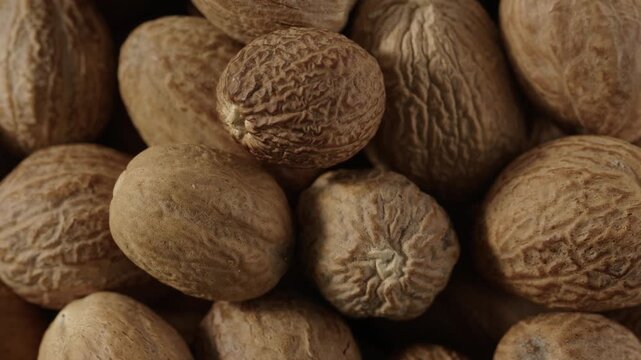 Raw shea nuts placed on wooden surface in warm light, styled macro for skincare cosmetic ingredient product visuals.