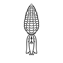 corn