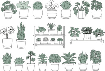Fototapeta premium Collection of potted houseplants with green leaves and white pots potted plant indoor plant