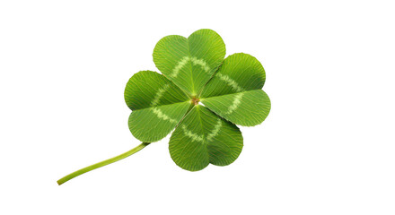 Fourleaf Clover On Black Background Symbol Of Good Luck