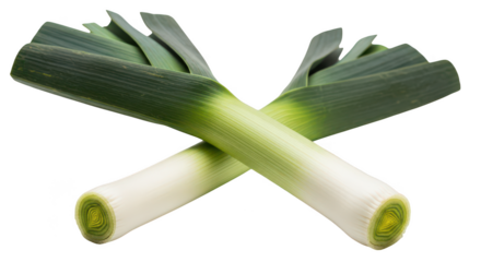 Two Fresh Leeks Crossed On Black Background