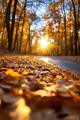 Forest revitalized by vibrant sunlight streaming through lush trees illustrates nature ability to renew and refresh sustainably. Natural renewal concept.