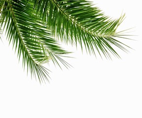 Obraz premium THANK - 10