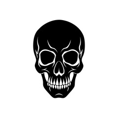 human skull isolated on white