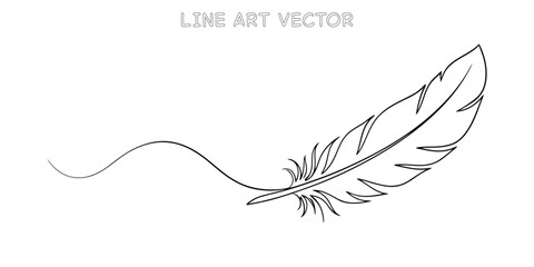 Elegant feather drawing delicate line art simple design © Vector Stations