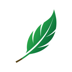 Sugar cane leaf shaped like a feather emblem