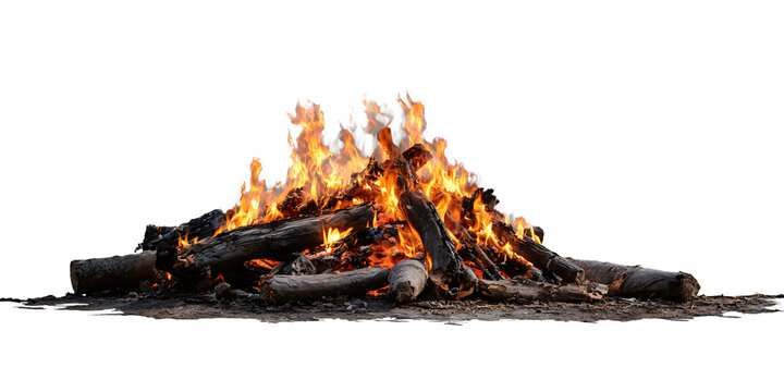 Campfire with burning logs and flames isolated on transparent background