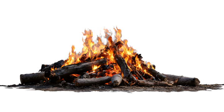 Campfire with burning logs and flames isolated on transparent background