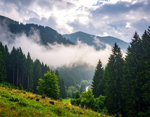 Fototapeta premium Majestic view of mountain peaks shrouded in mist and lush forest