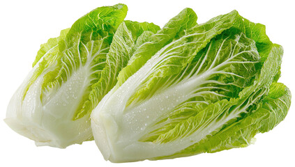 Fresh, crisp, and vibrant heads of leafy green cabbage, ready for cooking or salad preparation