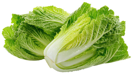 Close-up of two crisp, leafy green cabbages, freshly harvested, and wet with moisture