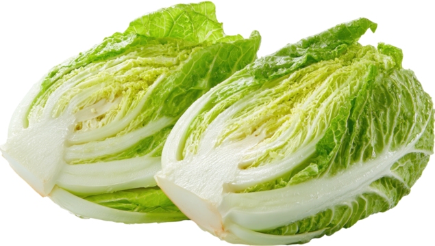 A fresh image of two halves of Chinese cabbage, revealing the crisp white stem and layered green leaves