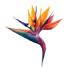 Vibrant, stylized illustration of a Bird of Paradise flower with a long, curved stem
