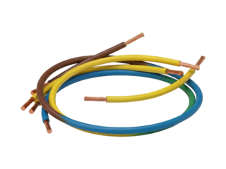 Several insulated wires coiled together with exposed copper ends