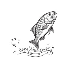 Obraz premium Jumping Fish Line Art Outline Vector Illustration 