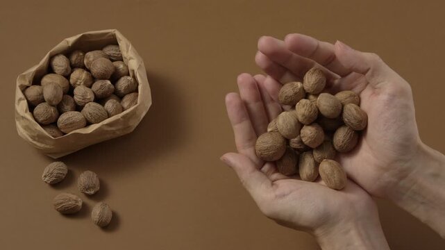 Two hands holding raw shea nuts, styled for natural skincare cosmetic ingredient branding and clean presentation.