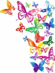 butterfly design