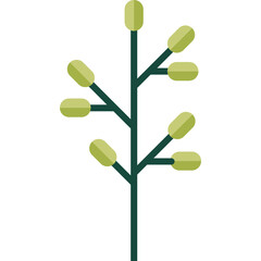 Flat Design Illustration of a Stylized Green Plant Stem with Multiple Buds Against a White Background