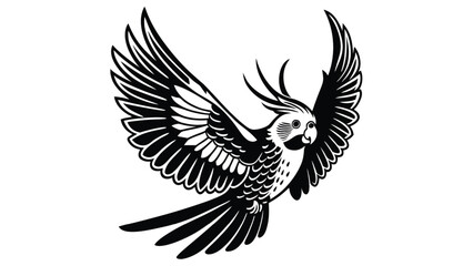 Fototapeta premium Cockatiel flying silhouette 