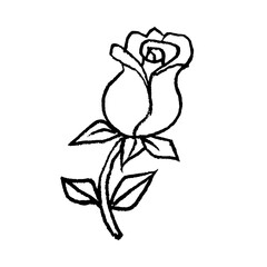 Hand drawn flower drawing. Doodle sketch vector illustration.