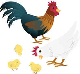 rooster-hen-and-baby-chicks-cartoon
