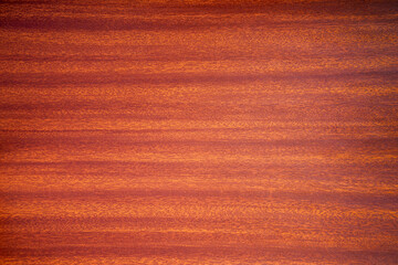 A photo of the mahogany texture.Background for the text, top view.The wood of trees of the genus...