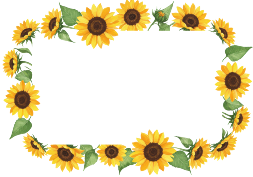 Bright yellow watercolor sunflowers with intricate brown centers and vibrant green leaves, elegantly forming a border on a transparent background with copy space, serene summer floral frame for design