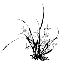 Graceful orchid flower and wild grass illustration in traditional Sumi-e brush painting style, minimalist black and white Asian art vector for Zen design