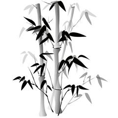 Hand drawn bamboo plant vector with soft brush strokes traditional oriental black and white bamboo illustration for background or decoration